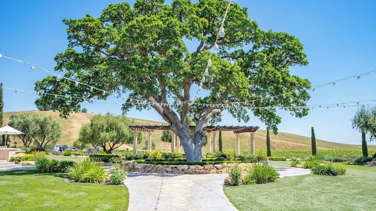 Photo of Outdoor in San Miguel