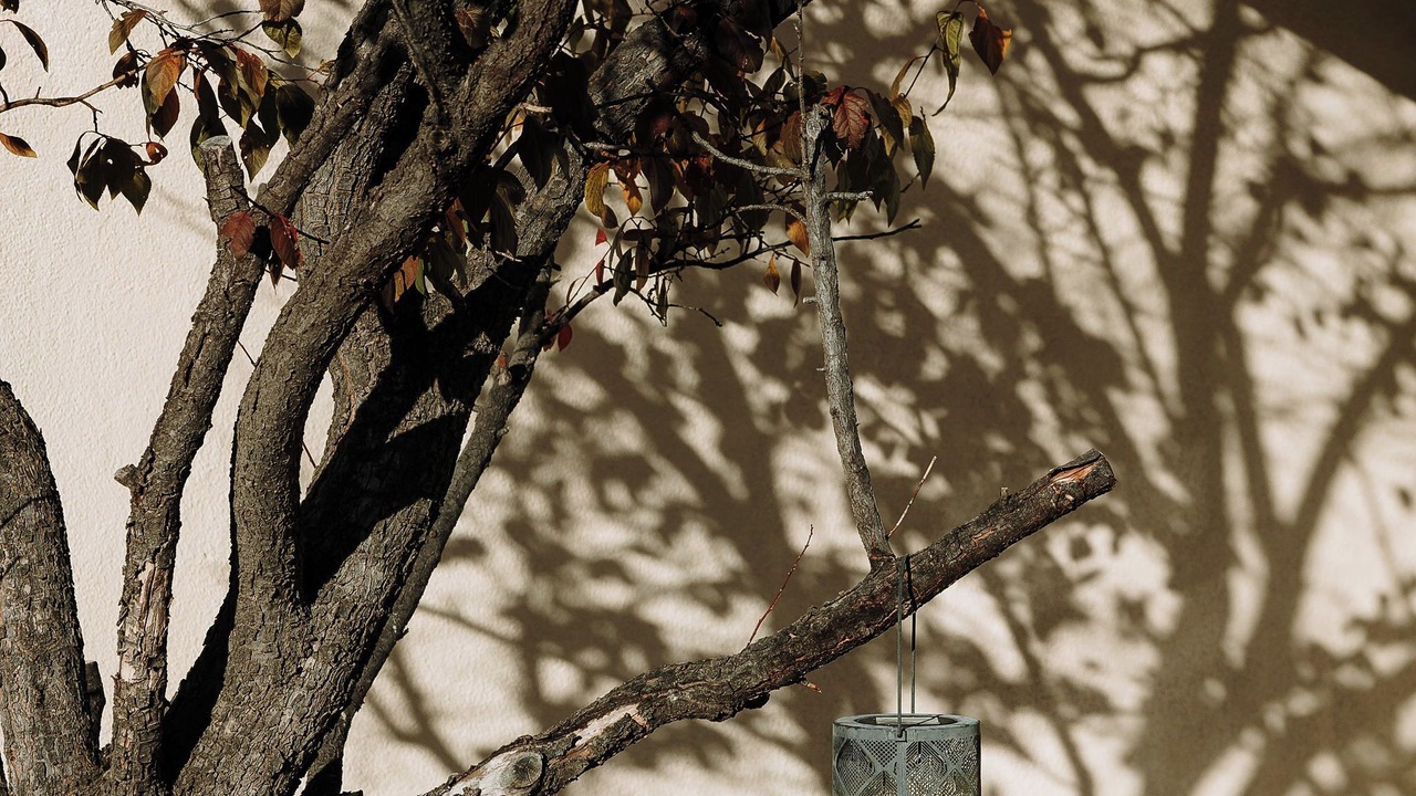 Photo of Outdoor in Taos