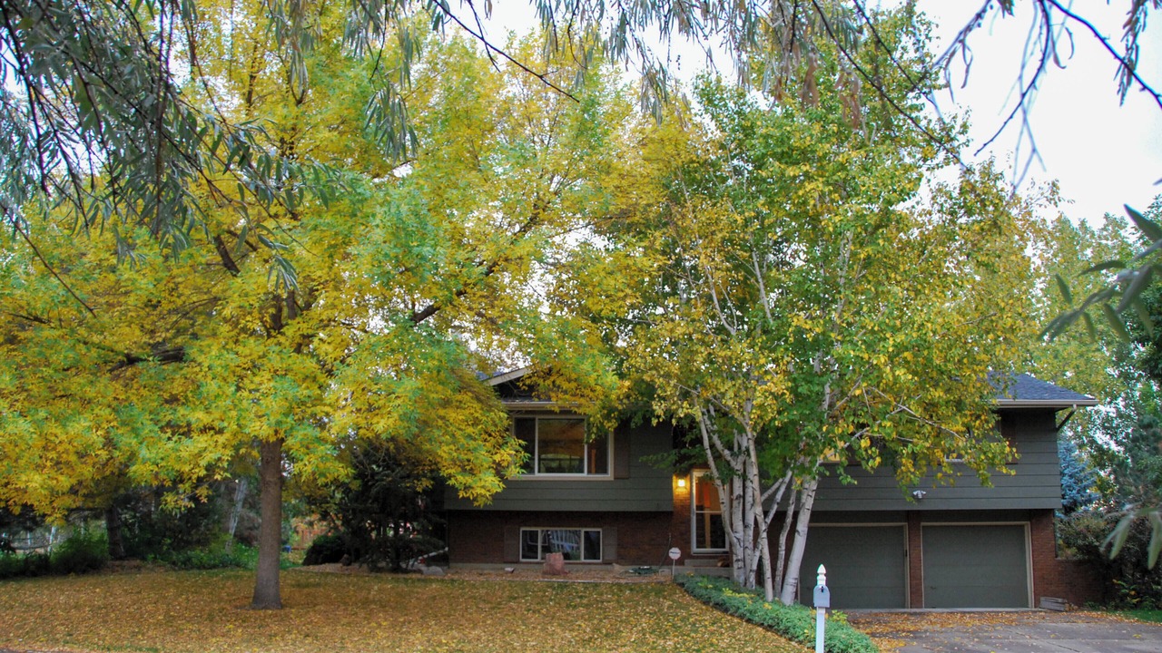 Photo of Outdoor in Fort Collins