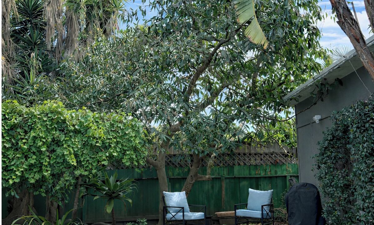Photo of Patio Balcony in Westside