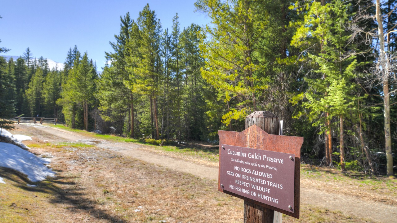 Photo of Outdoor in Peak 8
