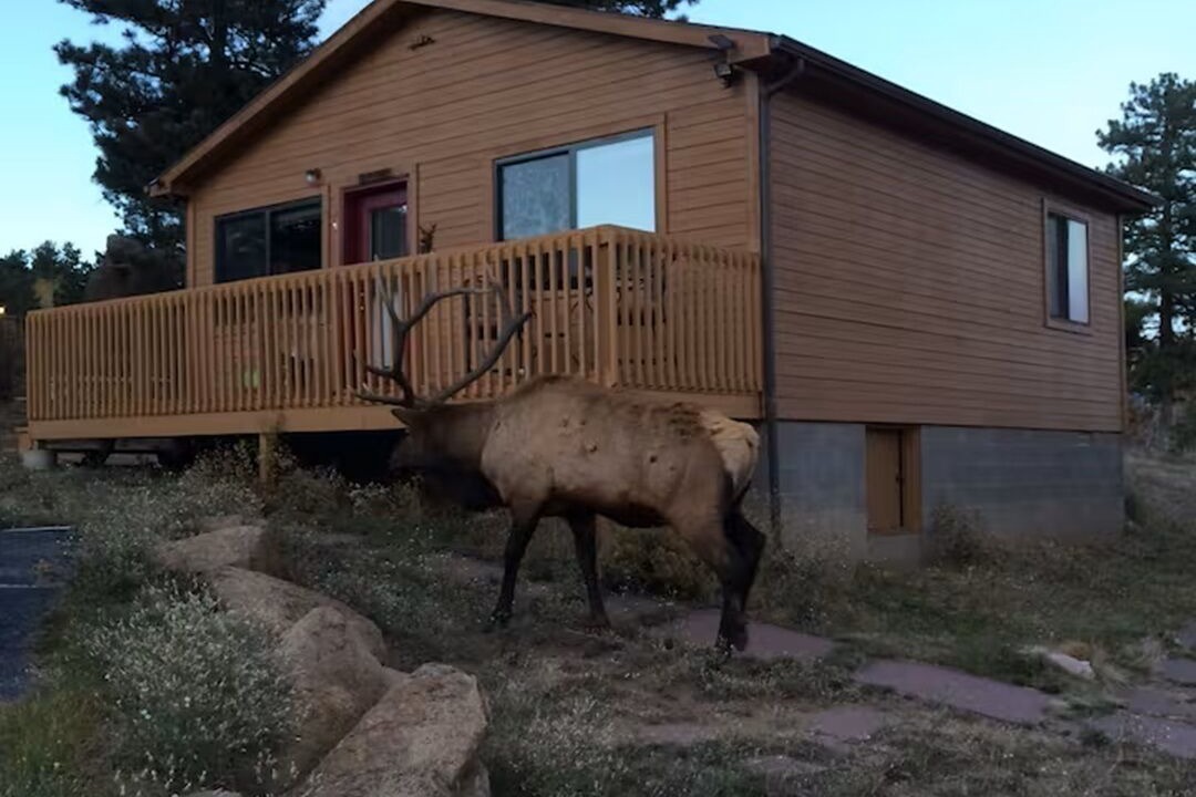 Photo of Outdoor in Estes Park