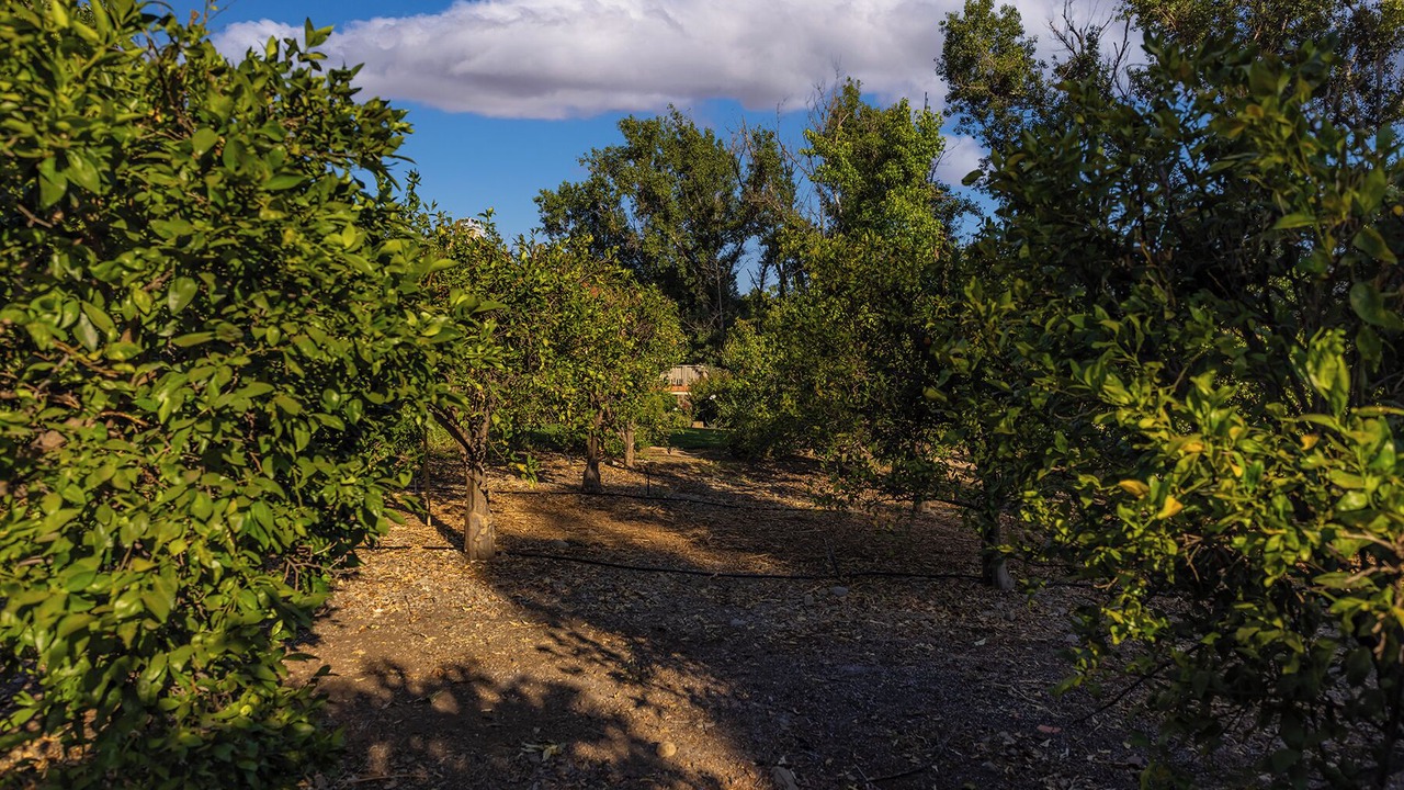 Photo of Others in Ojai