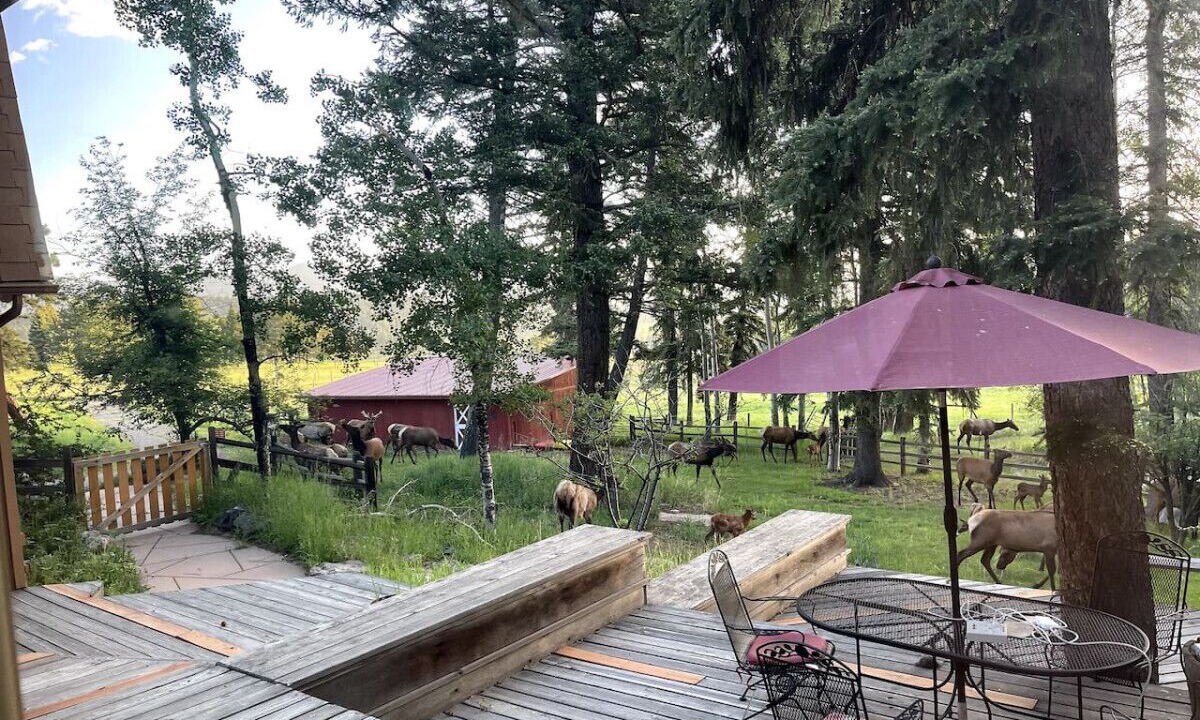 Photo of Outdoor in Hangen Ranch And M and B