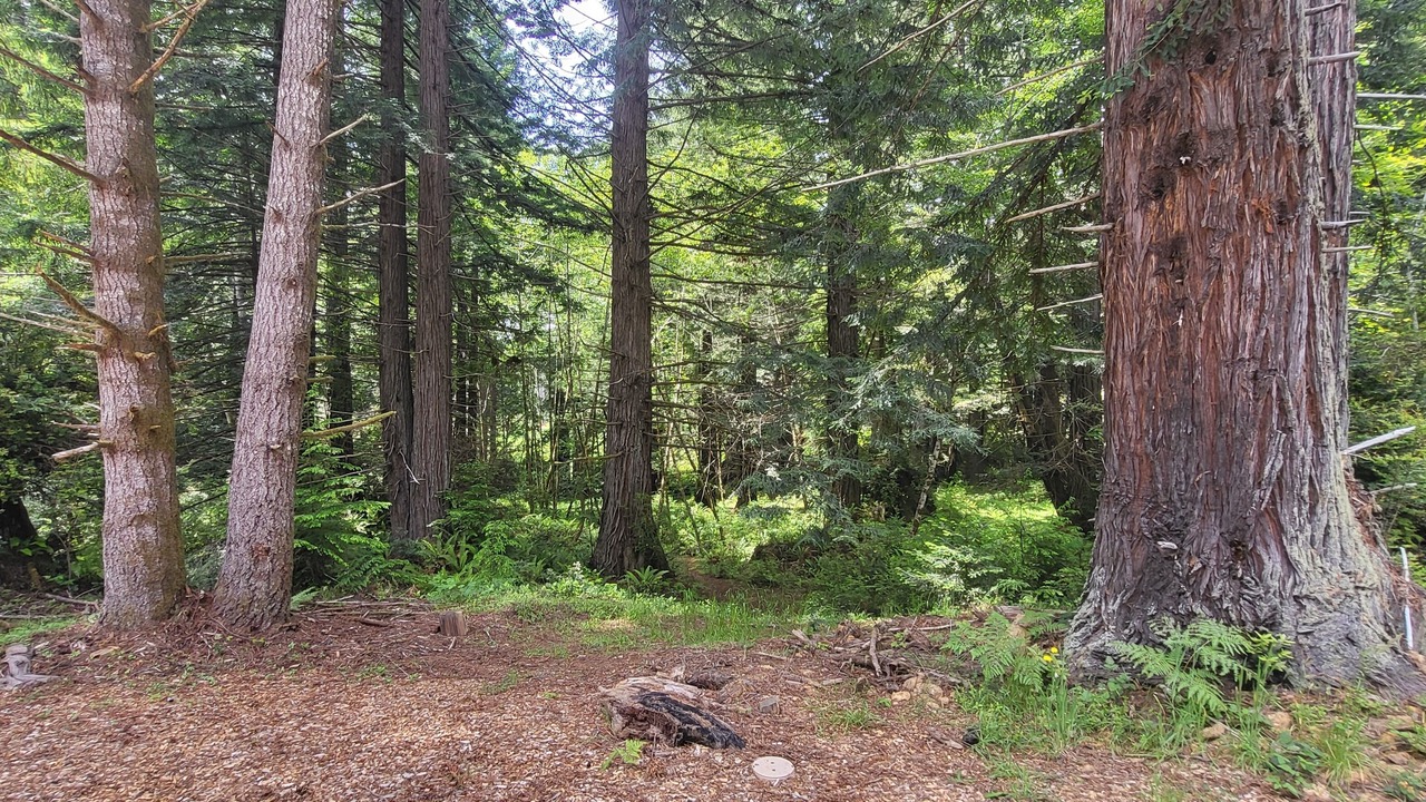 Photo of Others in Fieldbrook