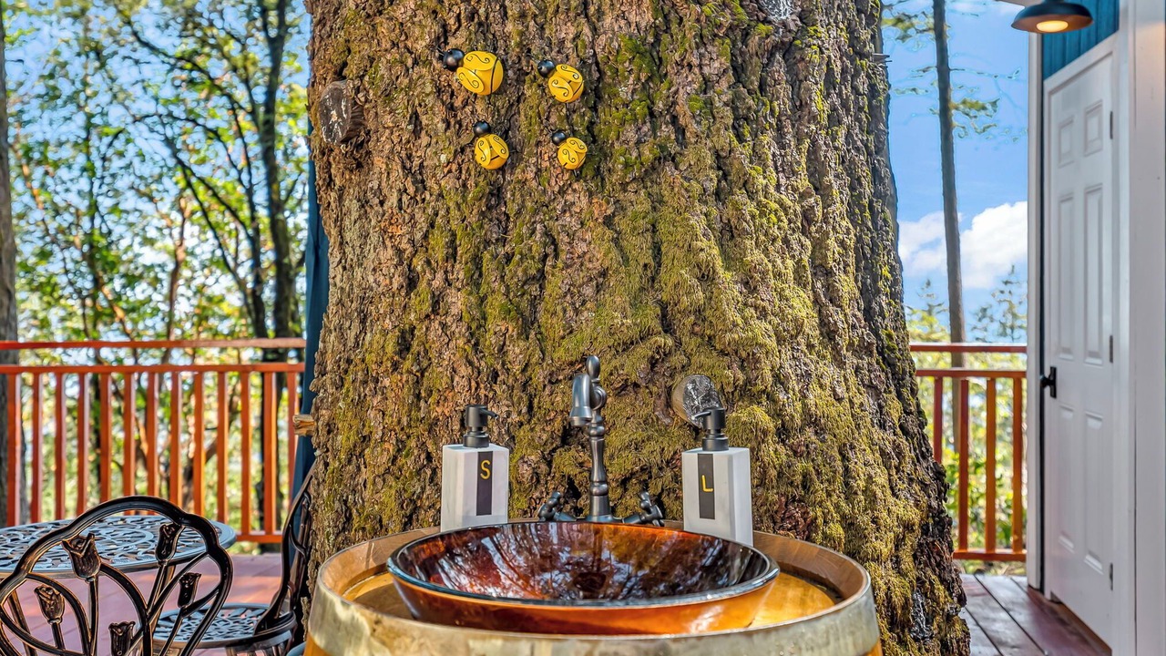 Photo of Outdoor in Los Gatos