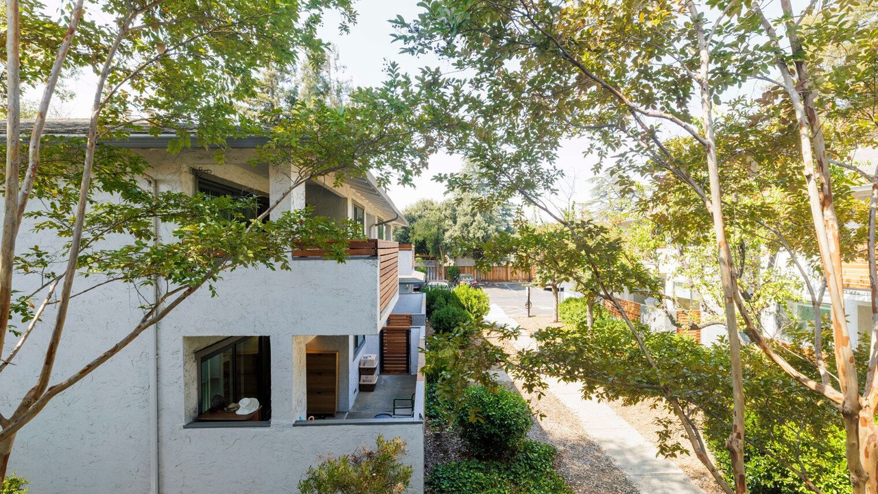 Photo of Outdoor in Cupertino