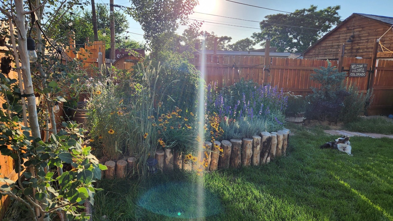 Photo of Outdoor in Elyria Swansea