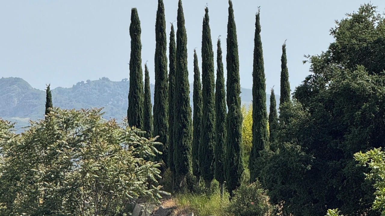 Photo of Others in Ojai
