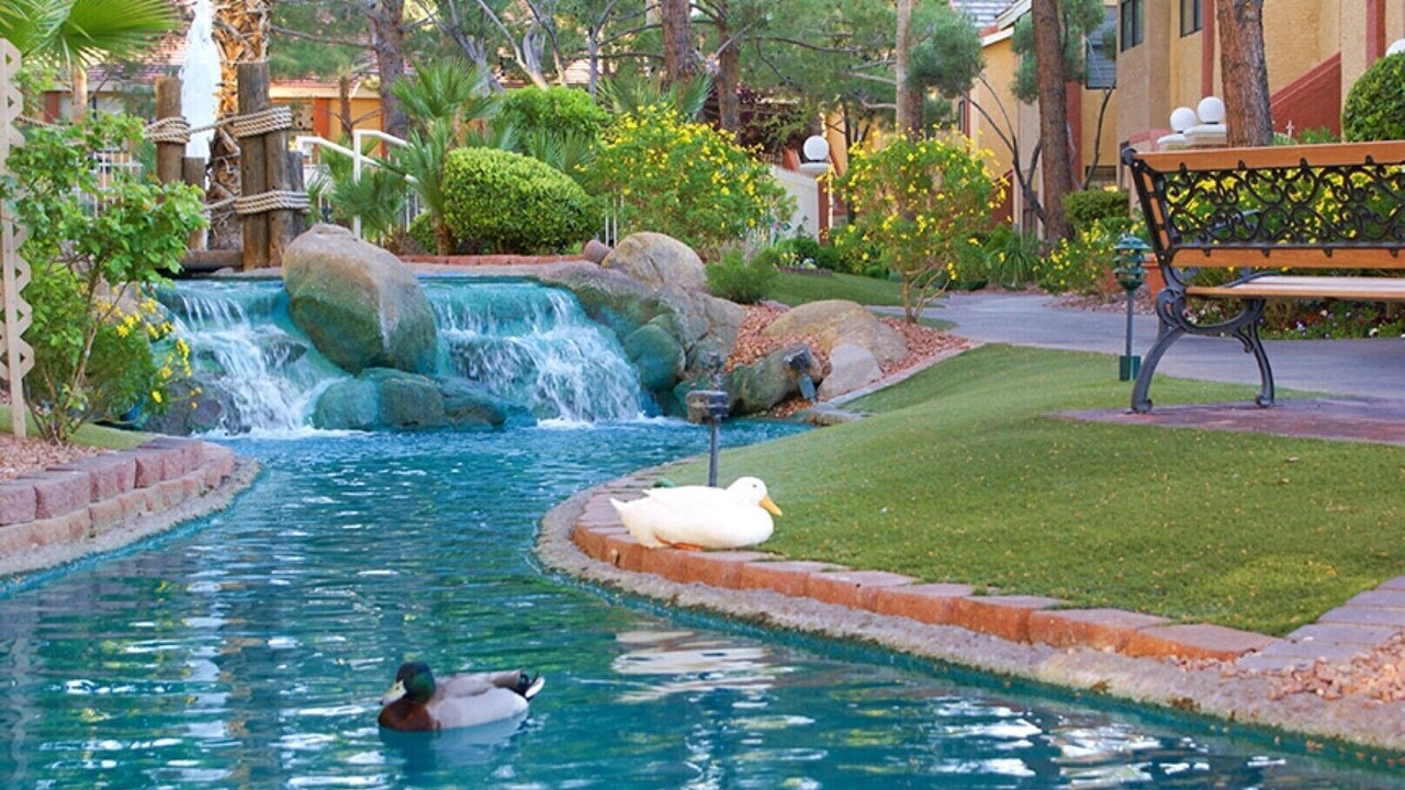 Photo of Outdoor in Las Vegas