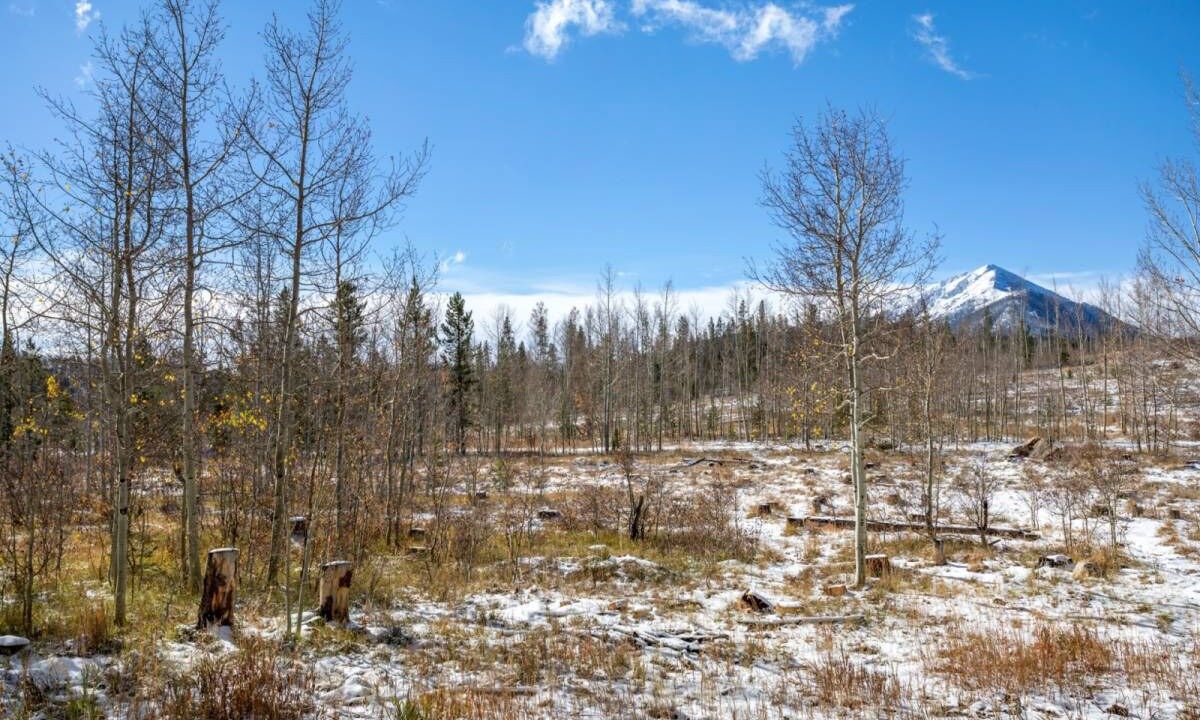 Photo of Others in Wildernest