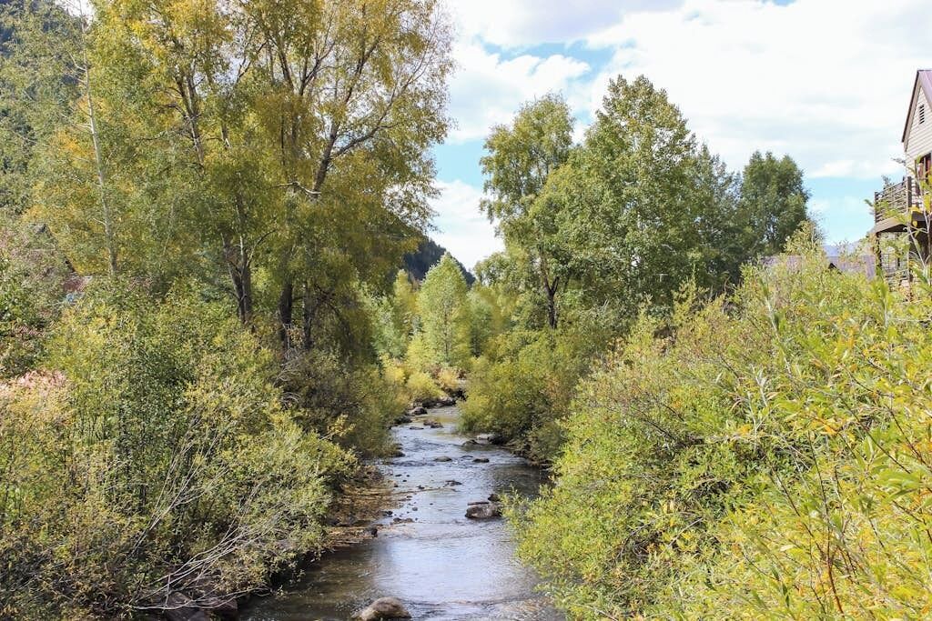 Photo of Others in Telluride