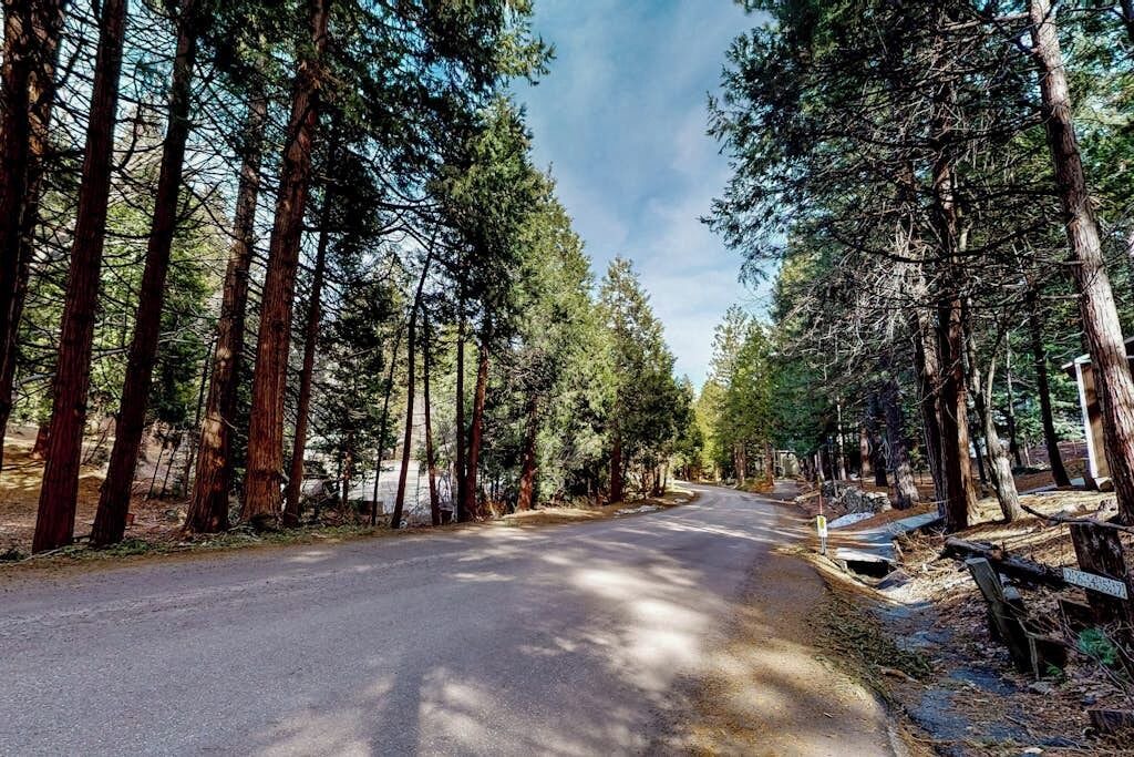 Photo of Others in Twin Peaks