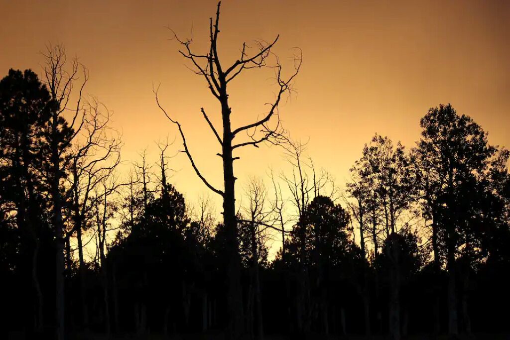 Photo of Others in Montrose County