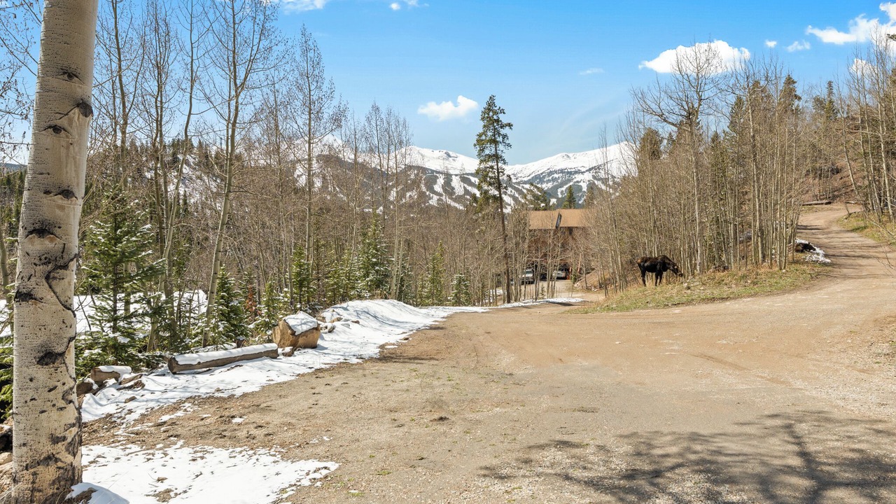 Photo of Others in Baldy Mountain