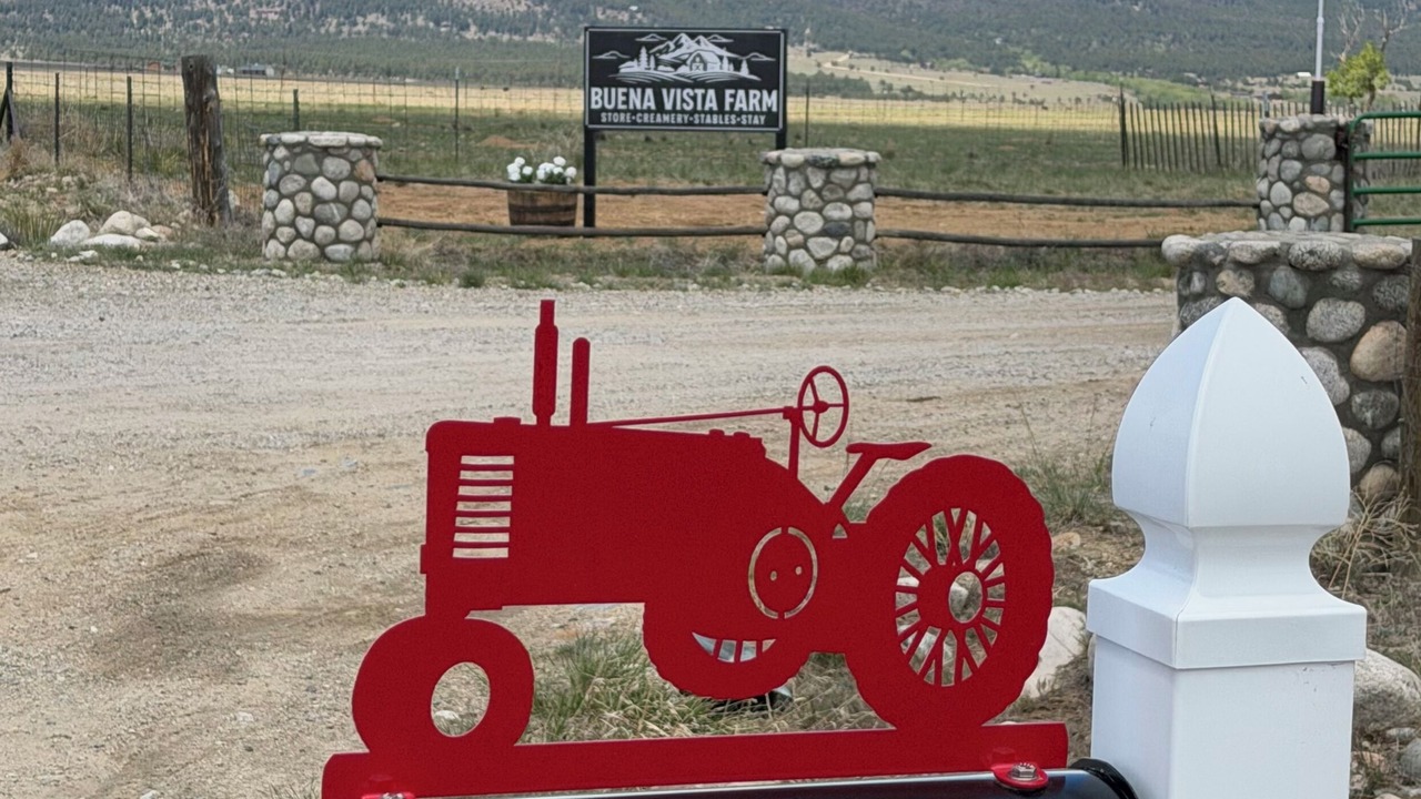Photo of Others in Buena Vista