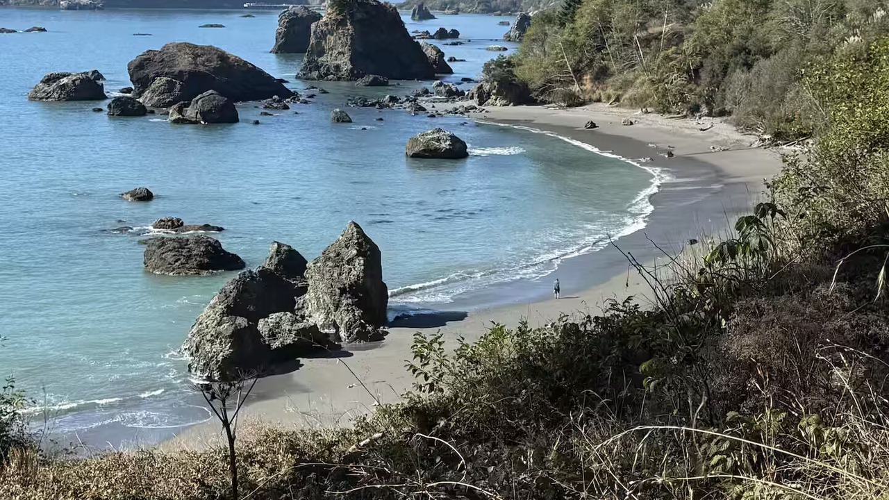 Photo of Others in McKinleyville