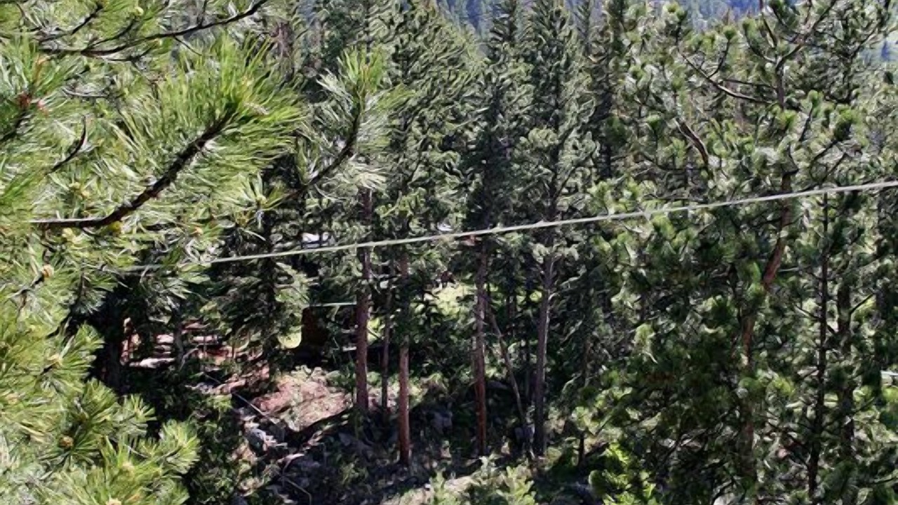 Photo of Others in Estes Park