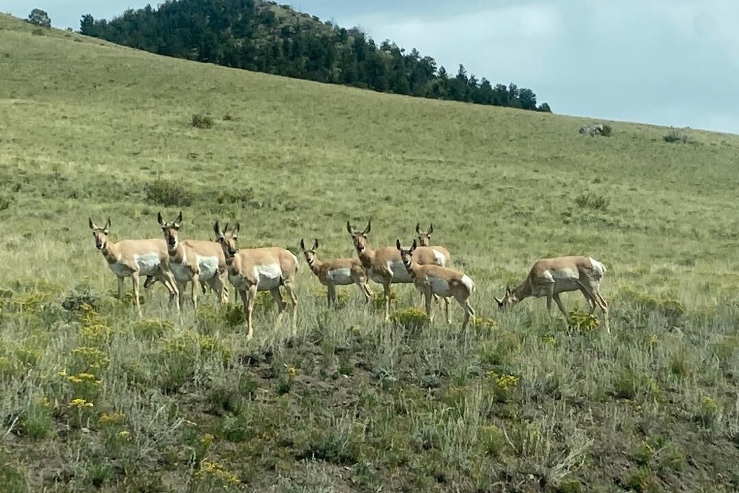 Photo of Outdoor in Fremont County