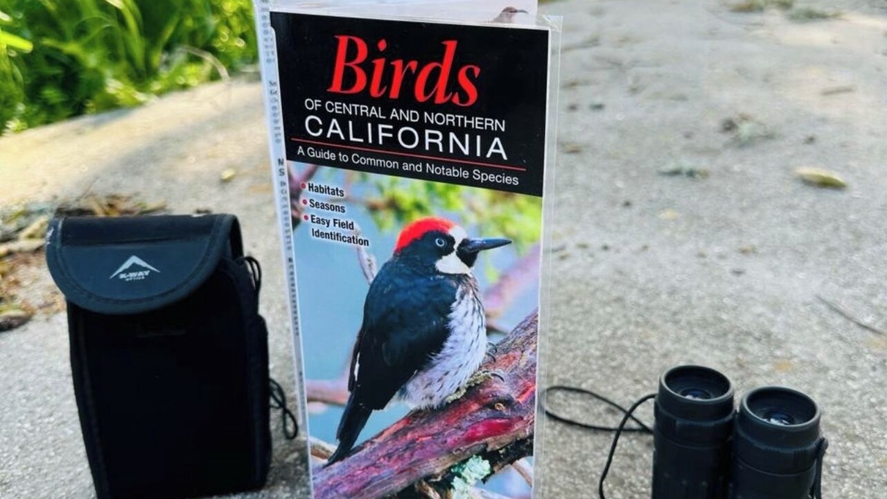 Photo of Outdoor in Atascadero