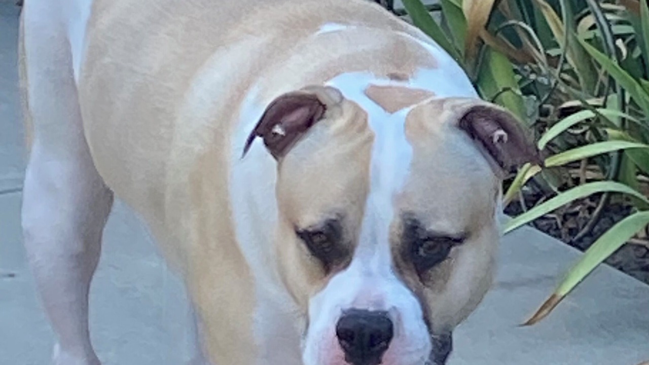 Photo of Others in Grover Beach