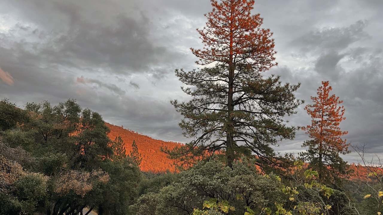 Photo of Others in Ahwahnee