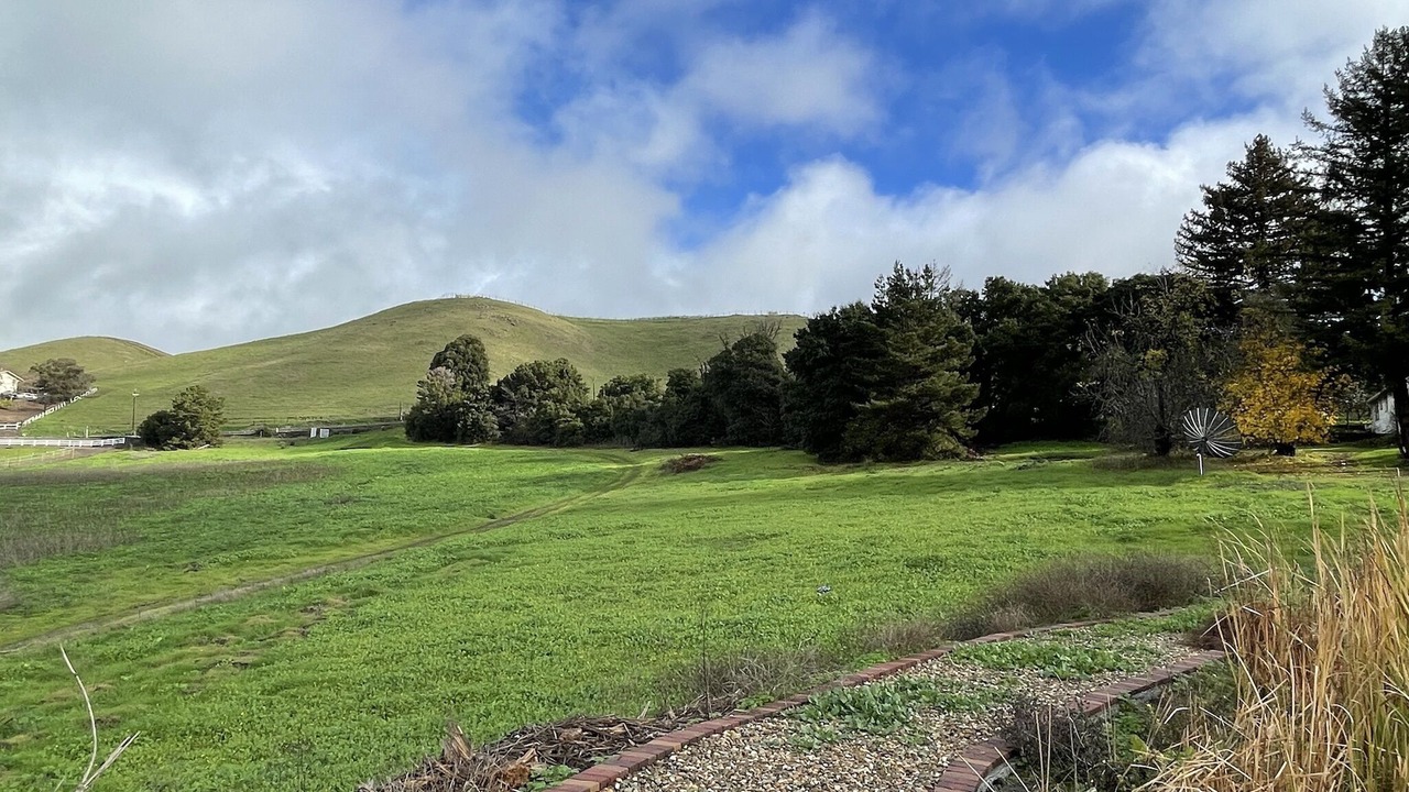 Photo of Outdoor in Milpitas