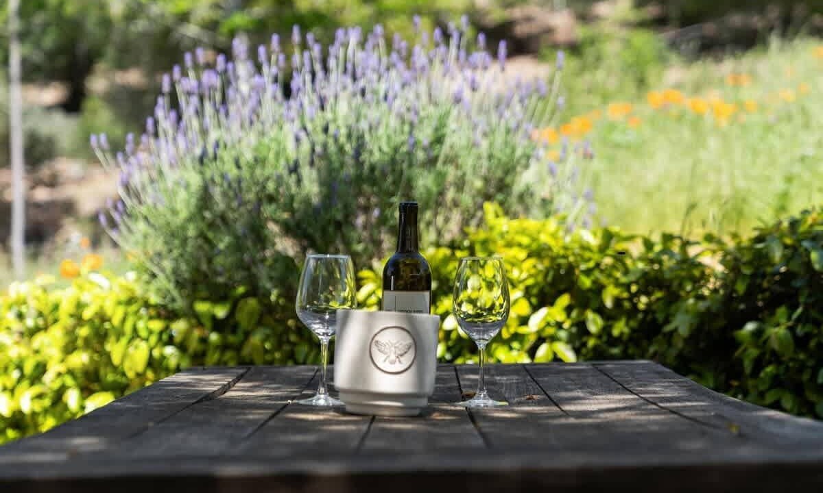 Photo of Others in Glen Ellen