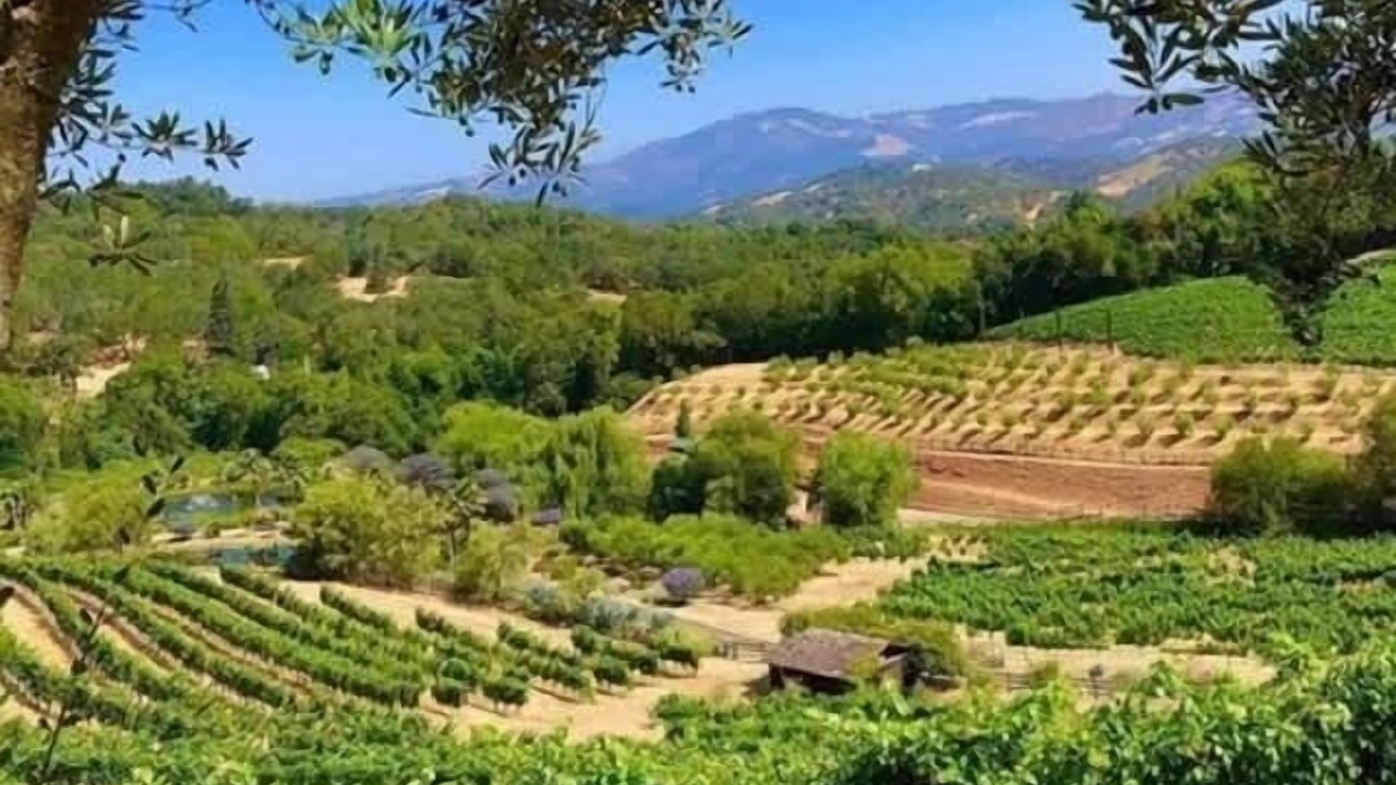 Photo of Others in Glen Ellen