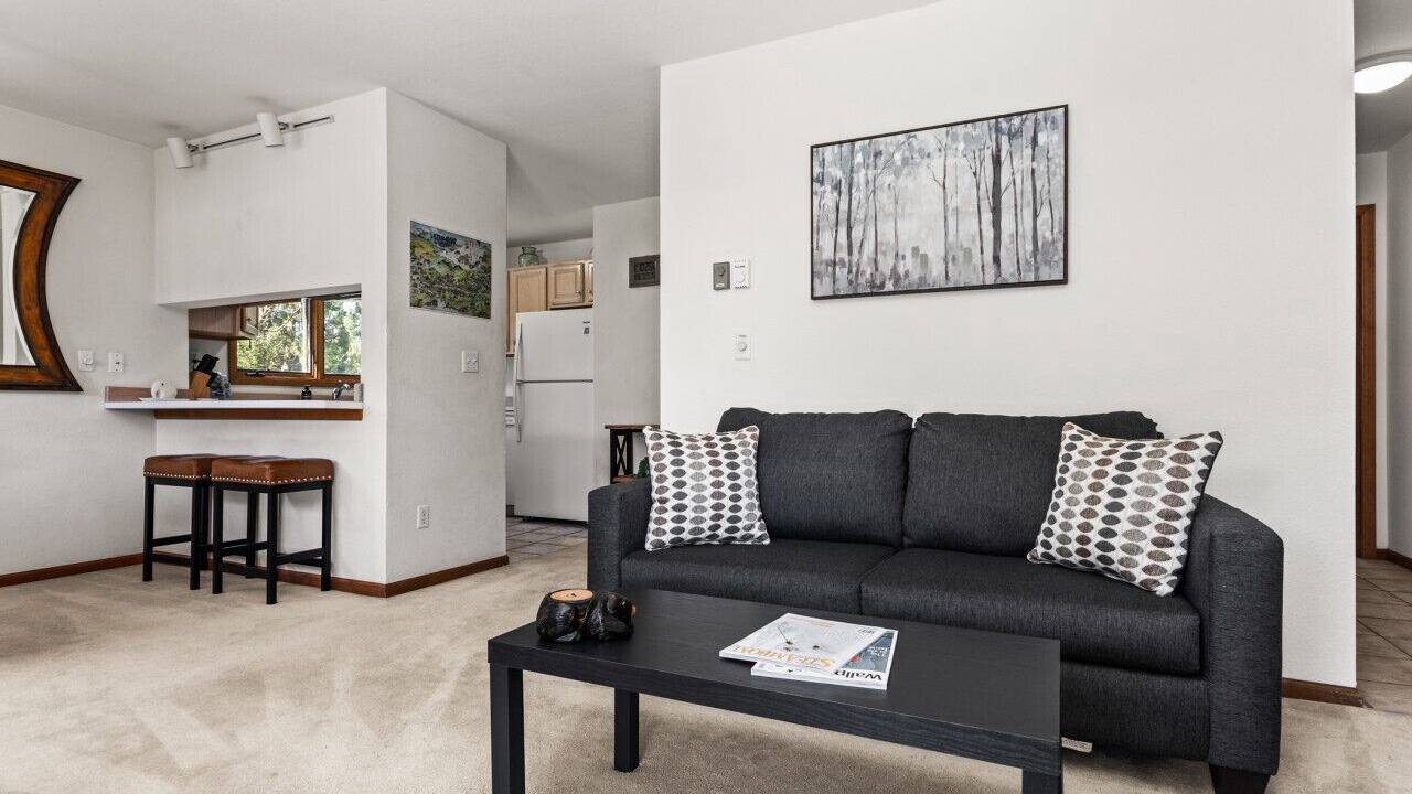 Photo of Livingroom in Steamboat Springs