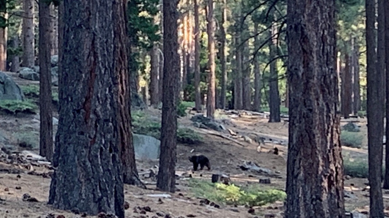 Photo of Others in South Lake Tahoe