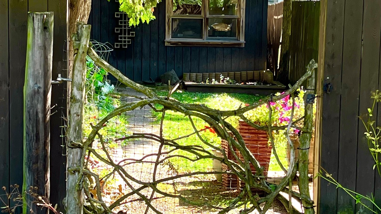 Photo of Outdoor in Oberlin