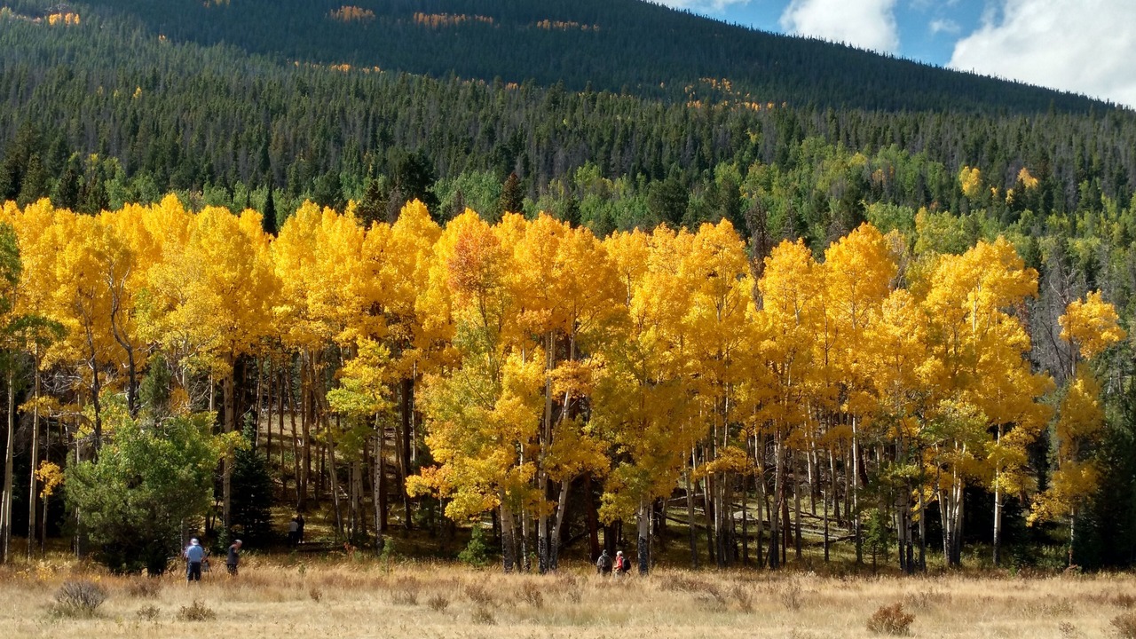 Photo of Others in Estes Park
