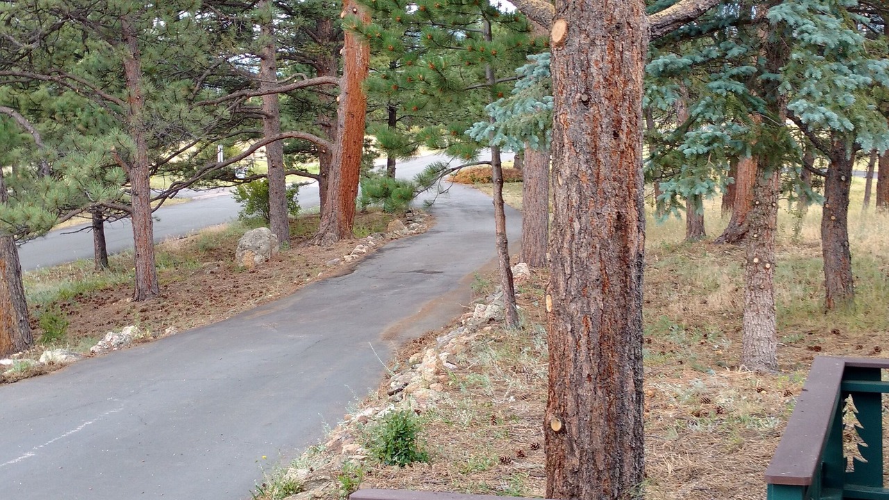 Photo of Others in Estes Park