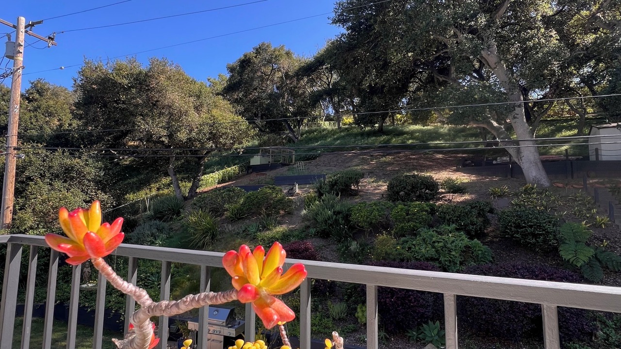 Photo of Outdoor in Bel Air