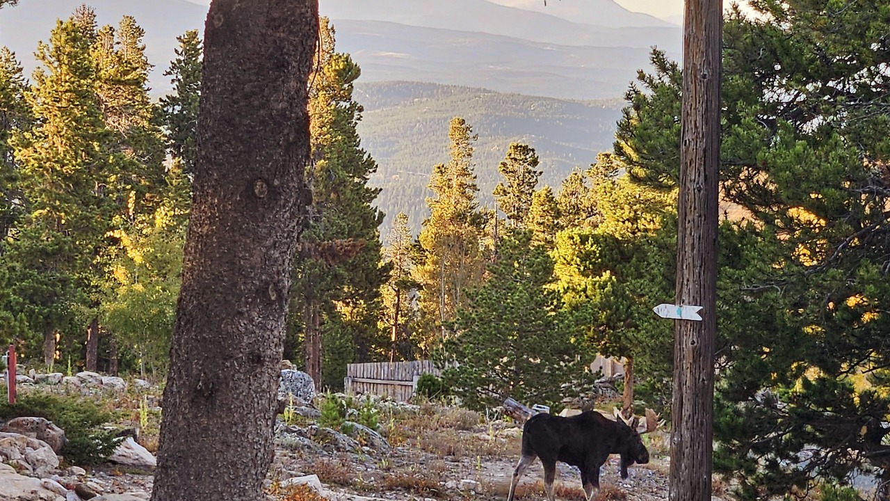 Photo of Outdoor in Black Hawk