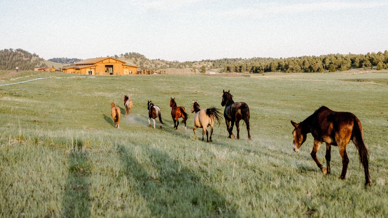 Photo of Outdoor in Park County