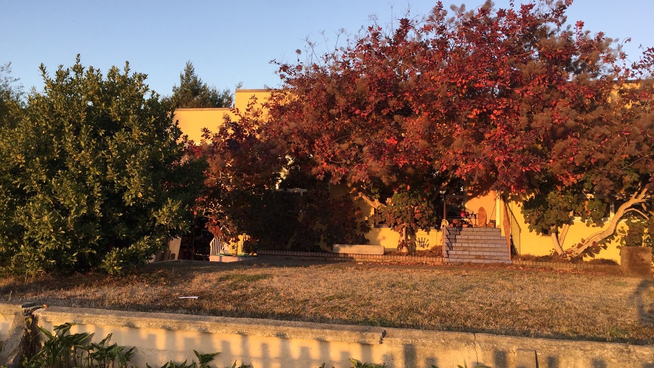 Photo of Outdoor in Jacoby Creek