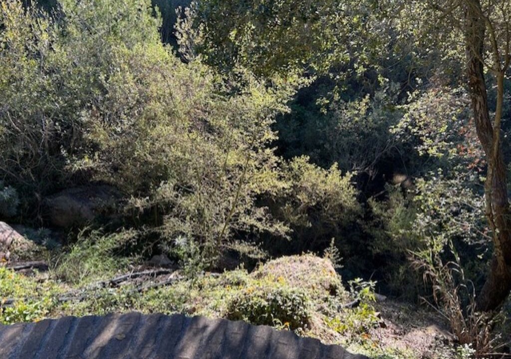 Photo of Others in Cielito