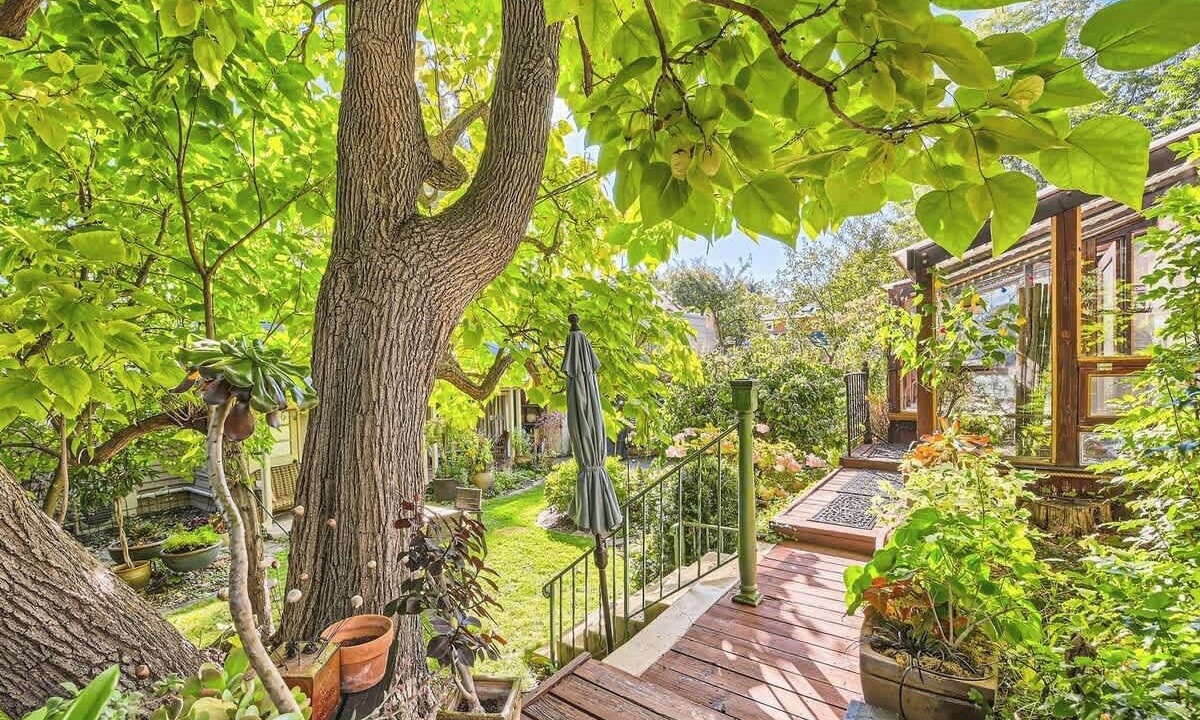 Photo of Outdoor in Newlands
