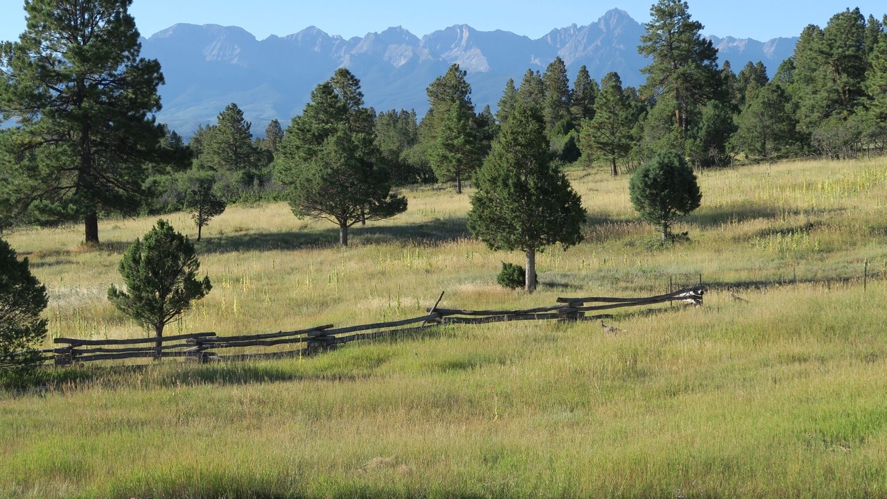 Photo of Others in Ridgway
