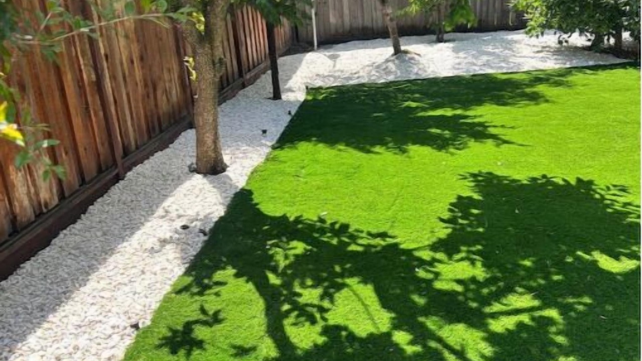 Photo of Outdoor in Edenvale