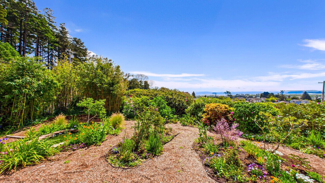 Photo of Outdoor in Arcata