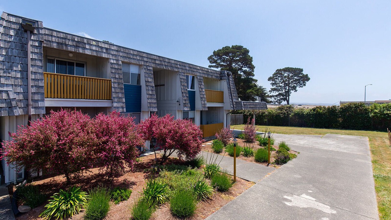 Photo of Outdoor in Arcata