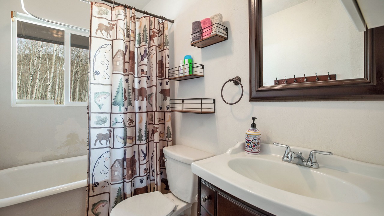 Photo of Bathroom in Tarryall