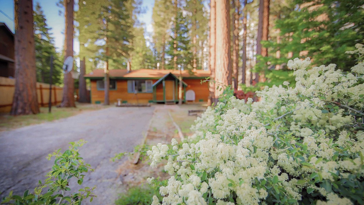Photo of Outdoor in North Upper Truckee