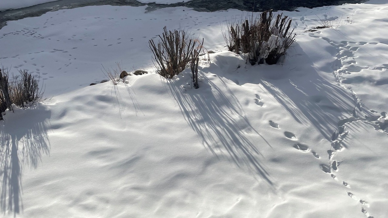Photo of Others in Winter Park