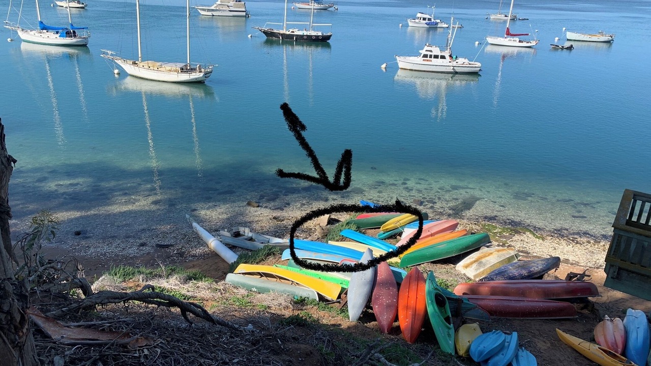 Photo of Others in Morro Bay