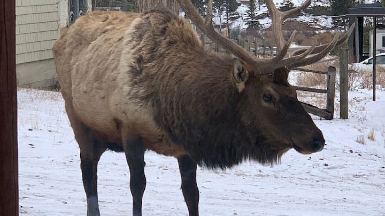 Photo of Others in Estes Park