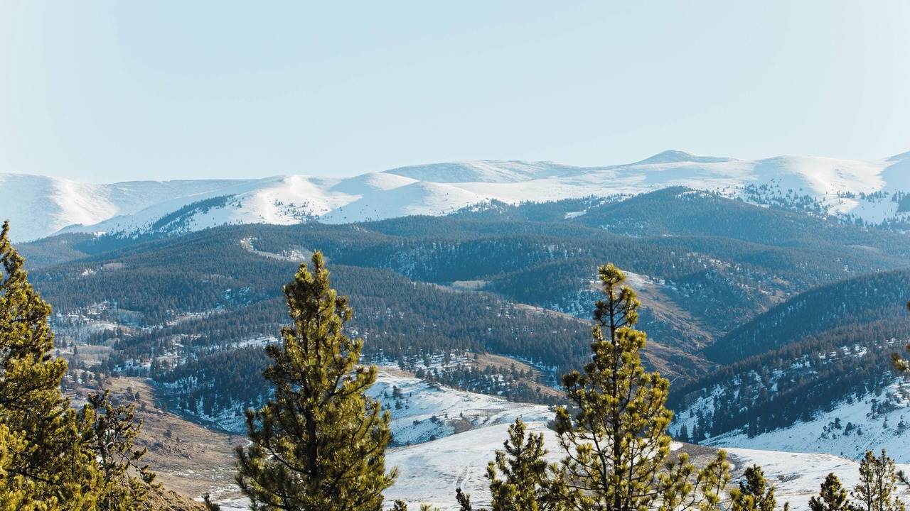 Photo of Others in Twin Lakes